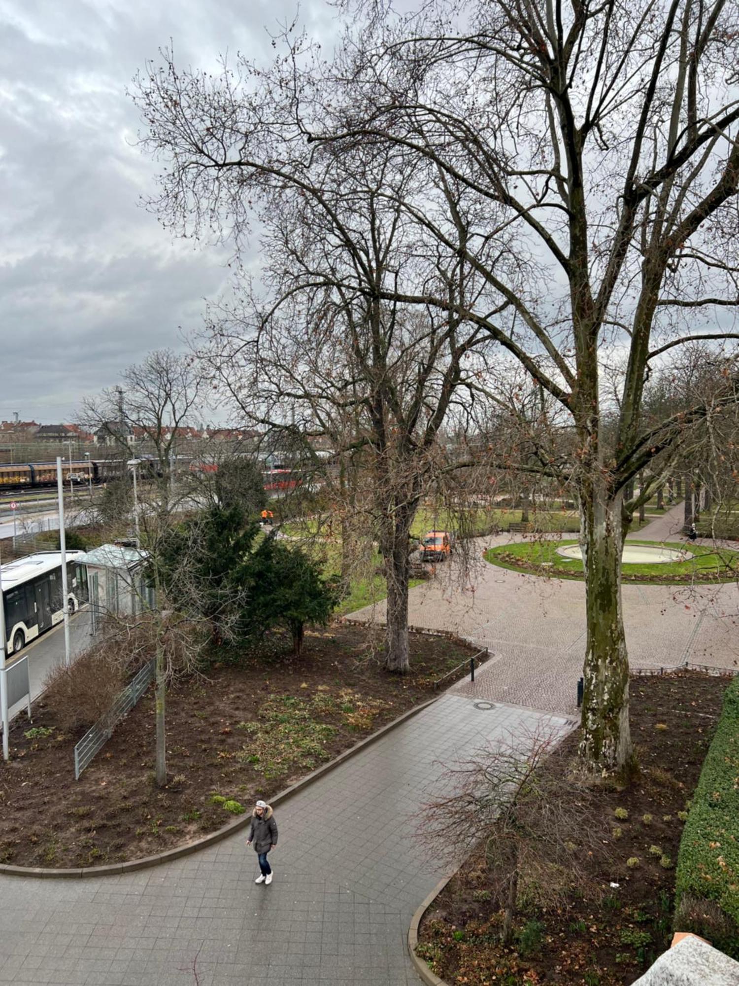 Albert-Schulte-Park Apartment- Worms Luaran gambar